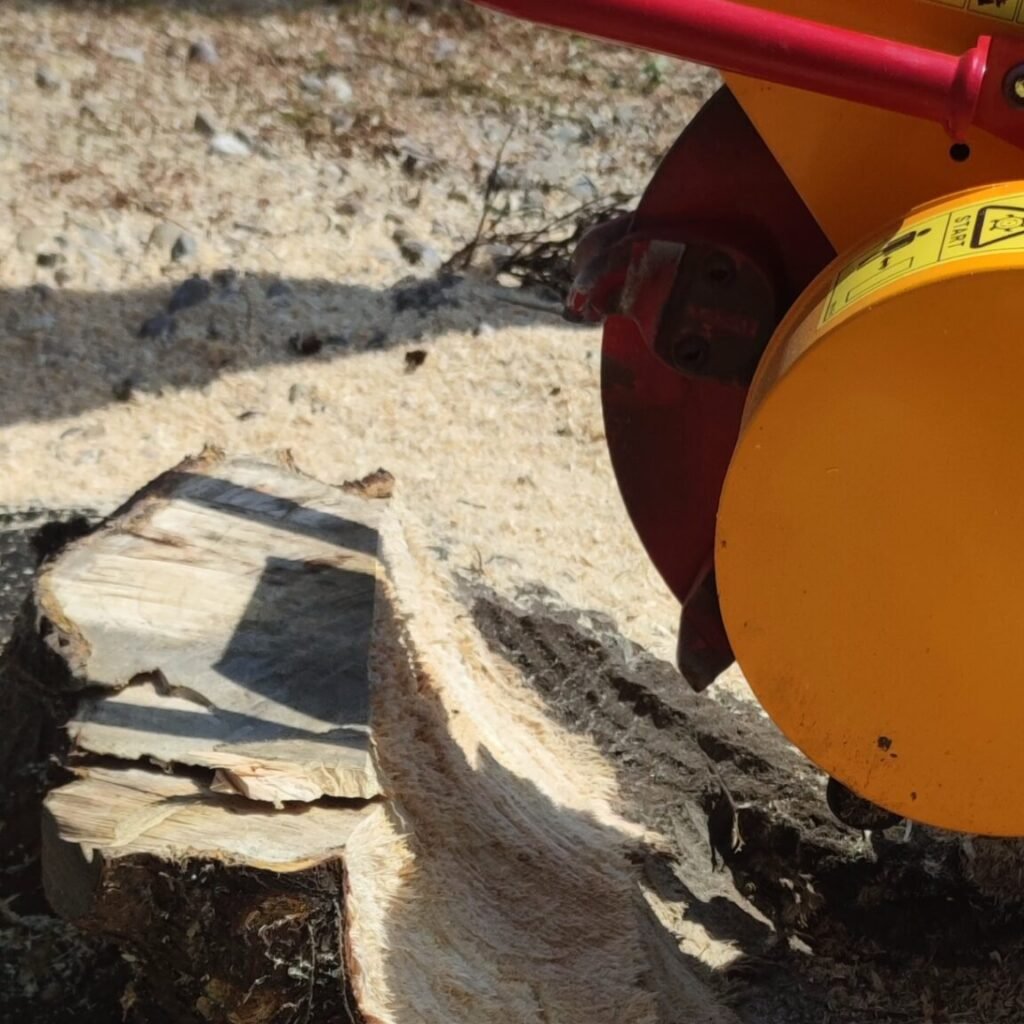 Tuskómarás Győr-Moson-Sopron megyében